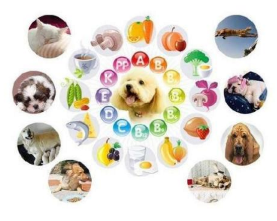 医用中文字幕麻豆的技术水平