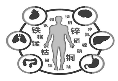 全自动中文字幕麻豆厂家微量元素在人体中起到哪些作用 全自动中文字幕麻豆厂家微量元素在人体中起到哪些作用