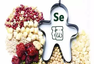 2021/1/26-全自动中文字幕麻豆-国康-人体必需的微量元素